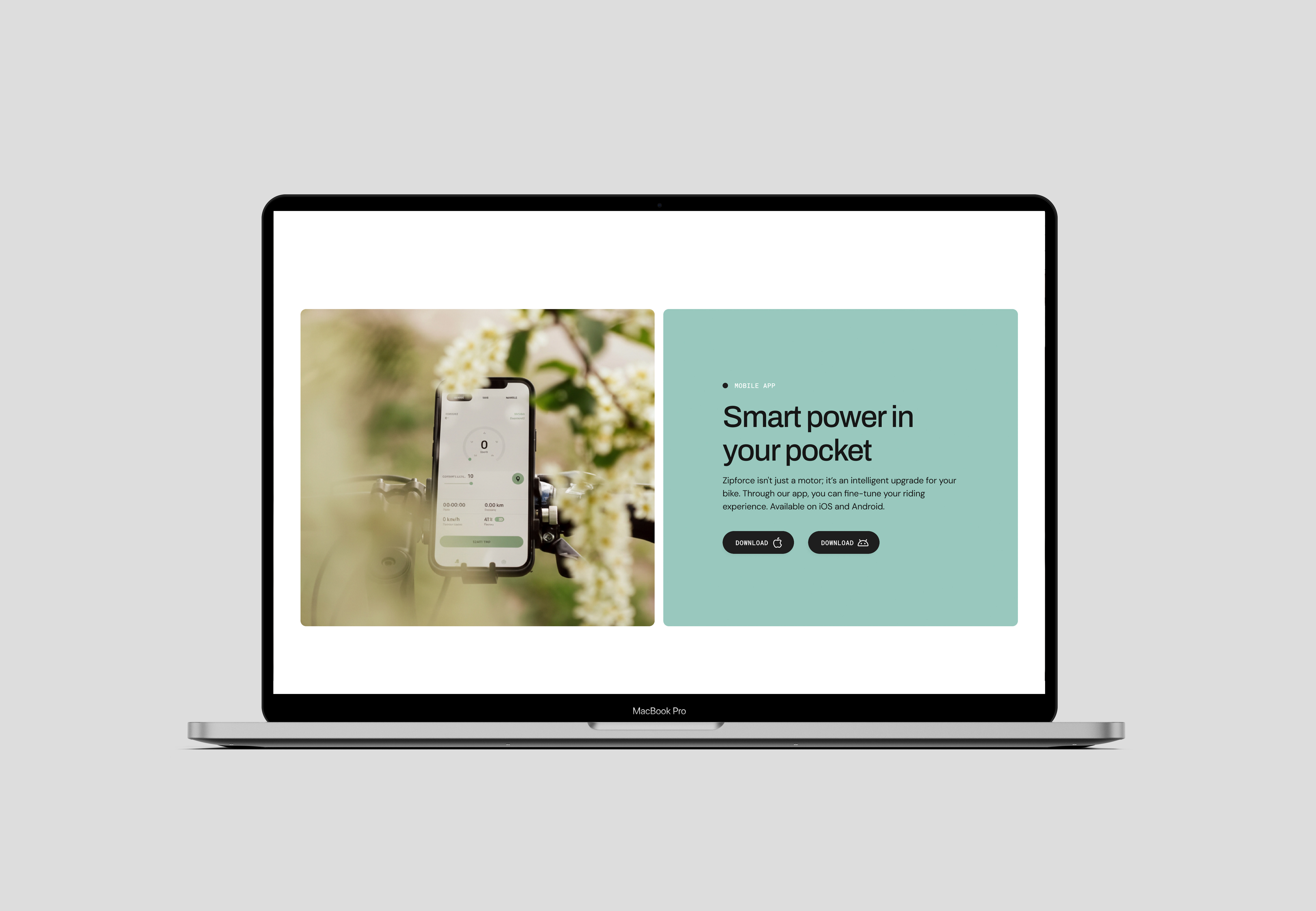 Zipforce website detail